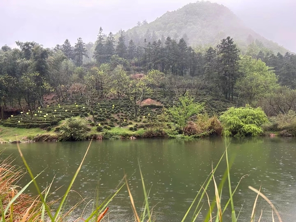 Jinzhai