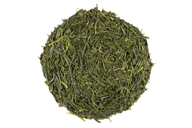 Sencha Kyoto 2023