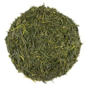 Sencha Kyoto 2023