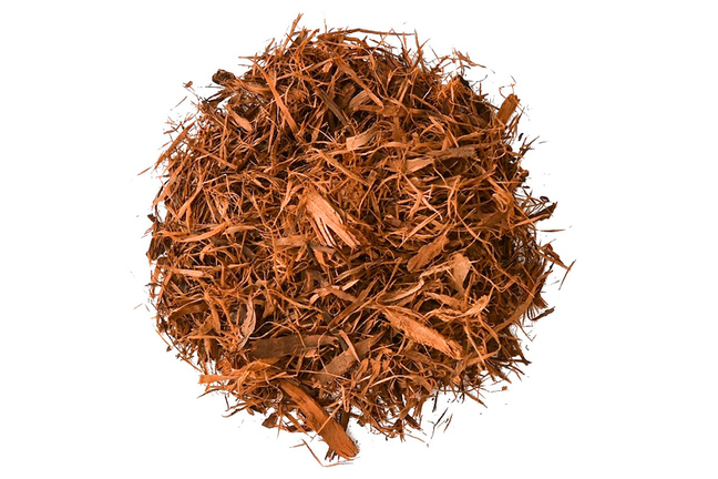 Lapacho - pau d'arco