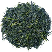 Gyokuro Kyoto 2026