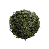 Sencha Tenryu