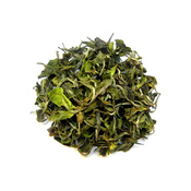 Darjeeling Rohini Winter Blossom 2016