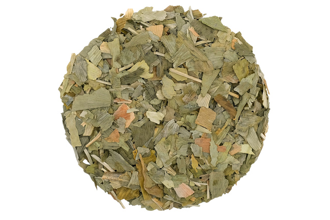 Ginkgo Biloba
