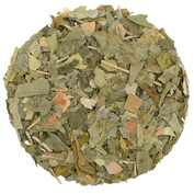 Ginkgo Biloba
