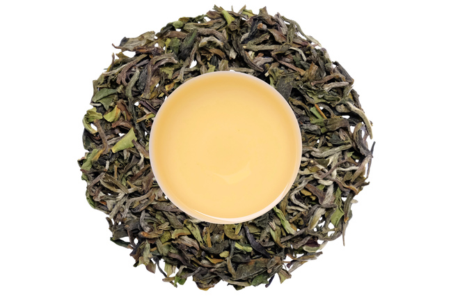 Darjeeling Singell FF 2026