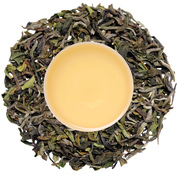 Darjeeling Singell FF 2026
