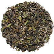 Darjeeling Singell FF 2026