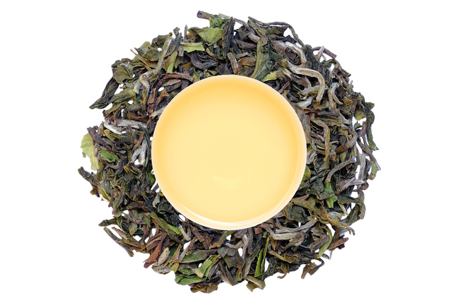 Darjeeling Seeyok FF 2026