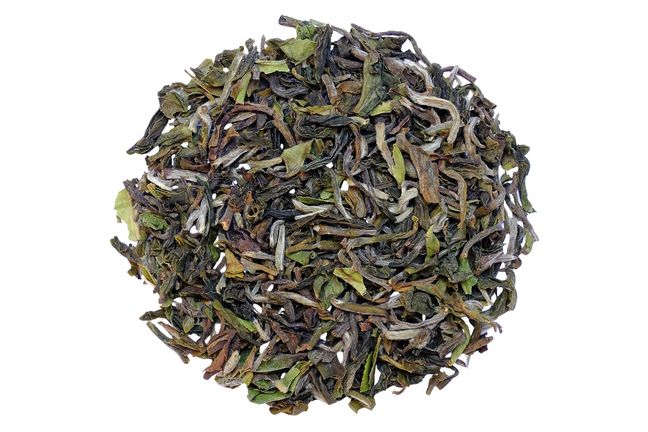 Darjeeling Seeyok FF 2026