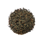 Wakocha Yabukita