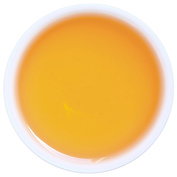 GABA Oolong 2026