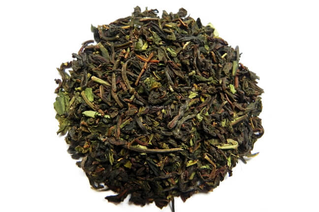 Nilgiri Thiashola