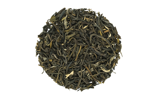 Jasmine Chulan jaśminowa zielona