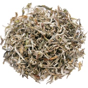 Darjeeling Namring Upper FF 2021