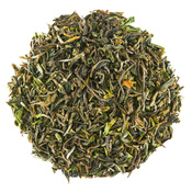 Darjeeling Puttabong FF 2022