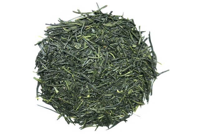 Sencha Yabukita Organic 2024