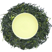 Gyokuro Saemidori 2026