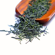 Gyokuro Saemidori 2026
