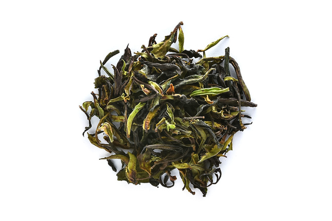 Yesheng Yue Guang Bai 2017