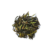 Yesheng Yue Guang Bai 2017