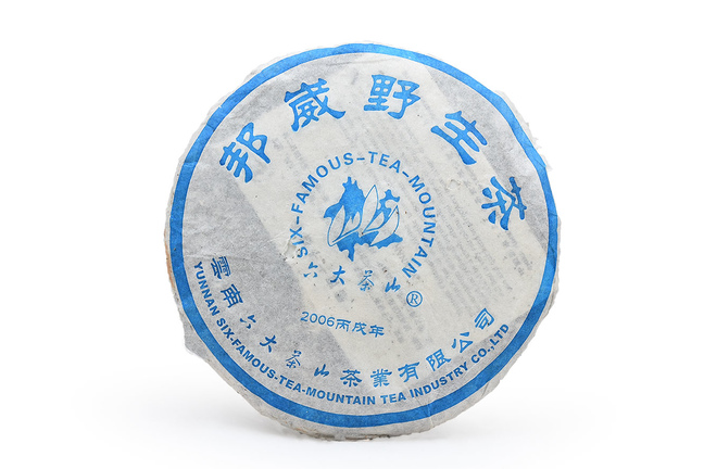6FTM Bangwei 2006