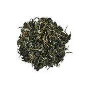 Assam Tingkhong Green 2017