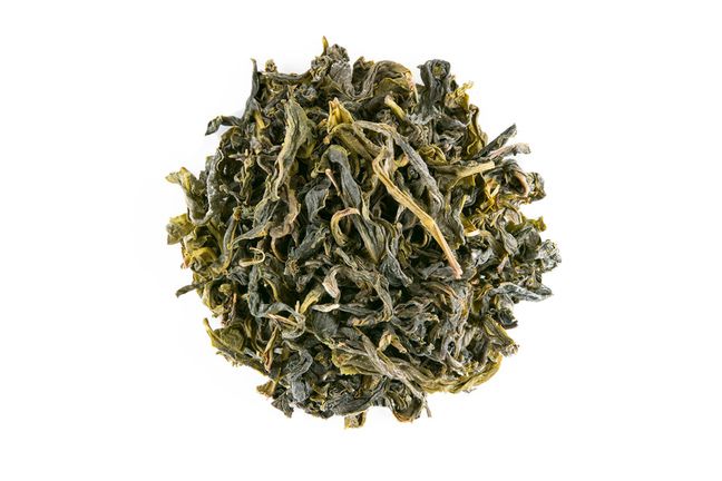 Bai Lu Green 2018
