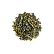 Bai Lu Green 2018