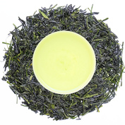Sencha Fukamushi Asanoka 2026