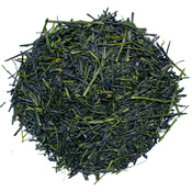 Sencha Fukamushi Asanoka Organic 2024