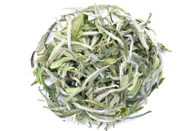 Wild Fuding Yin Zhen 2019