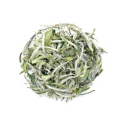 Wild Fuding Yin Zhen 2019