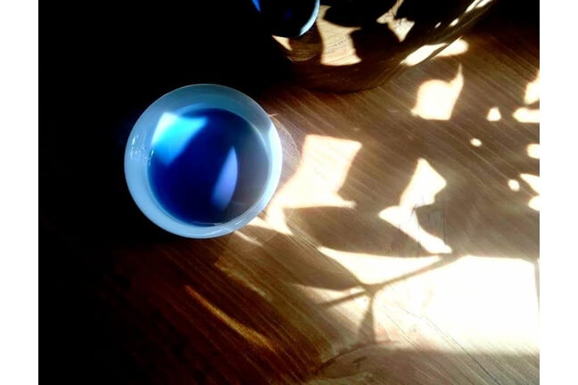 Butterfly Pea Tea (Klitoria ternateńska)