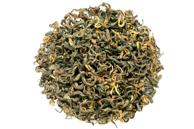 Nepal Pathivara Ruby SF