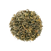 Nepal Pathivara Ruby SF
