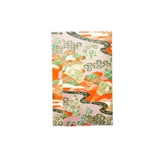 Tezumi Gyokuro Honyama Yabukita 2019