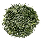 Sencha Hamamatsu 2026