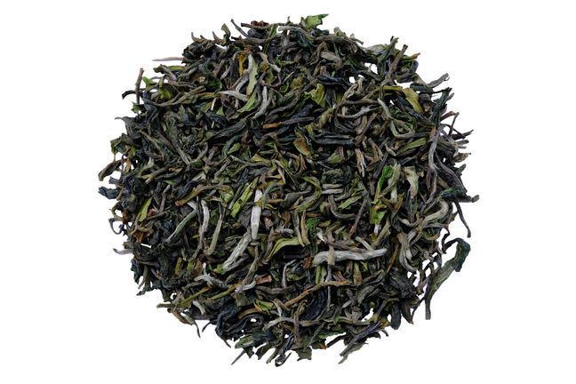 Darjeeling Gielle FF 2025