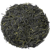 Sencha Isagawa 2026