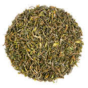 Darjeeling Puttabong DJ 55 2020