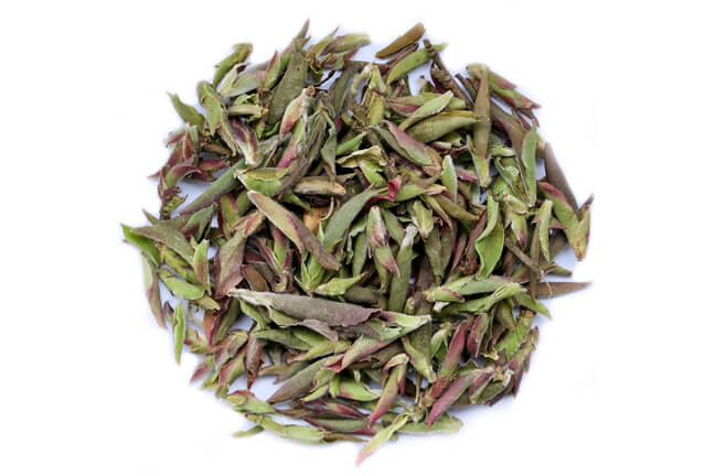 Bangdong Gushu Zi Ya 2022