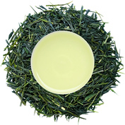 Sencha Tsuyuhikari 2026