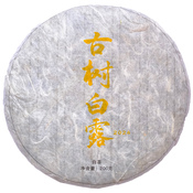 Mifeng Shan Gushu Baicha 2026