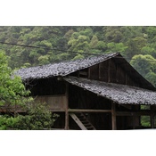 Tongmuguan Lapsang Souchong 2025