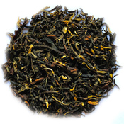 Darjeeling Rohini Enigma Gold SF 2021