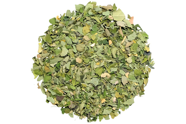 Liść Moringi - herbata moringa