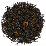 Tanyang Gongfu 2025