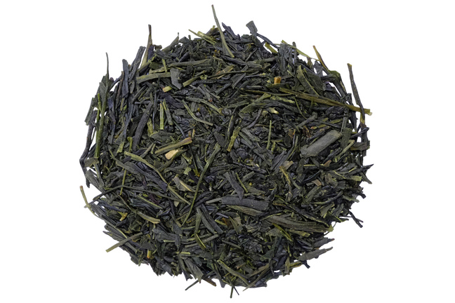 Sencha Ichoka 2025