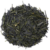 Sencha Ichoka 2025
